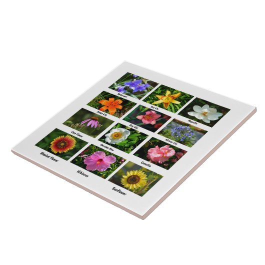 Carreau Affiche des fleurs de macro (Côté)