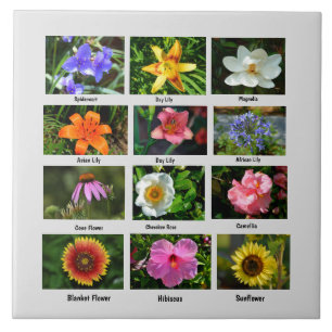 Carreau Affiche des fleurs de macro