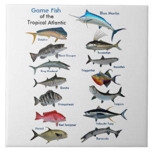 Carreau Affiche Poisson de jeu de l'Atlantique tropical