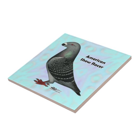 Carreau Afficher l'ASR racer (Côté)