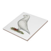 Carreau Afficher le blanc de la course (Côté)