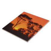 Carreau Afrique du Sud. Coucher de soleil africain. (Côté)