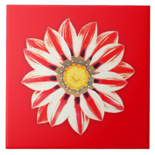 Carreau Afrique / Gazania - Rouge et blanc rayé