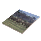 Carreau Afrique, Kenya, Parc national d'Amboseli. Africain (Côté)