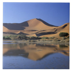 Carreau Afrique, Namibie, Parc national du Namib, Sossusvl