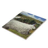 Carreau Afrique, Ouganda, Murchison Falls NP. L'épouvantai (Côté)