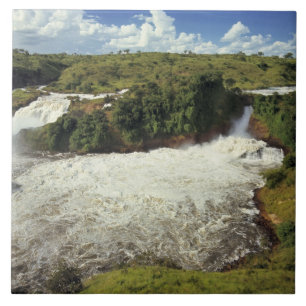 Carreau Afrique, Ouganda, Parc national des chutes Murchis