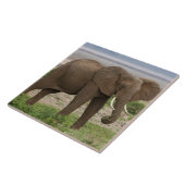 Carreau Afrique. Tanzanie. Éléphant au lac Manyara NP. (Côté)