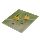 Carreau Afrique. Tanzanie. Little Bee Eaters à Manyara (Côté)