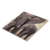 Carreau Afrique, Tanzanie, Parc national de Tarangire. 2 (Côté)