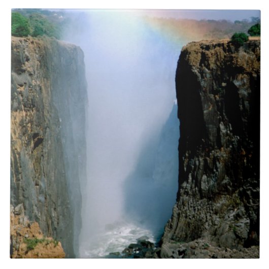 Carreau Afrique, Zambie, Victoria Falls National Park. (Devant)