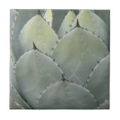 Carreau Agave Cactus Style Plante du Sud-Ouest (Devant)