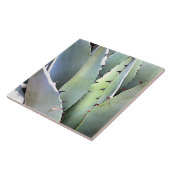 Carreau Agave Plante Succulent Bleu Cactus Botanique Déser (Côté)