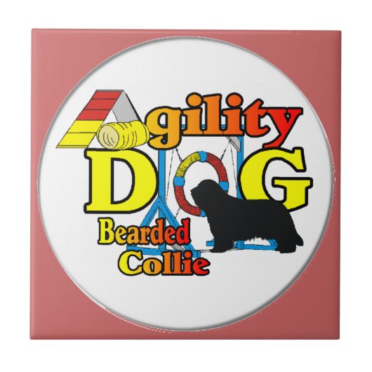 Carreau agilité de collie barbu (Devant)