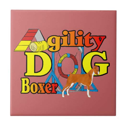 Carreau Agilité de la boîte (Devant)