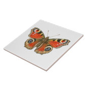Carreau Aglais E/S - Papillon de paon en céramique (Côté)