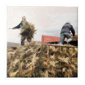 CARREAU AGRICULTURE (Devant)