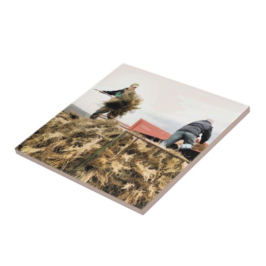 CARREAU AGRICULTURE (Côté)