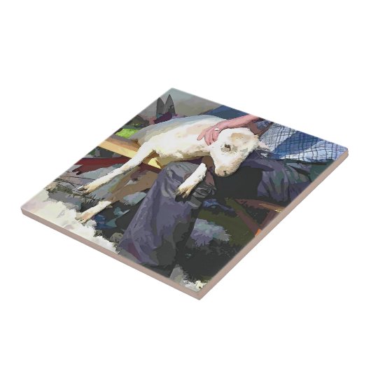 CARREAU AGRICULTURE (Côté)