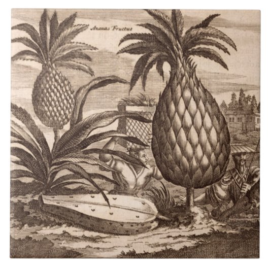 Carreau Agriculture de grands ananas, illustration d'un (Devant)