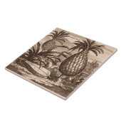 Carreau Agriculture de grands ananas, illustration d'un (Côté)