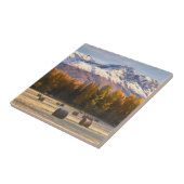 Carreau Agriculture de l'Alaska (Côté)