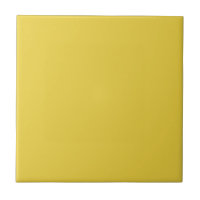 Agritourisme Carrelage en céramique jaune