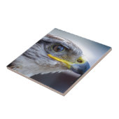 Carreau Aigle (Côté)