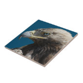 Carreau Aigle (Côté)