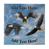 Carreau Aigle à tête blanche (Devant)