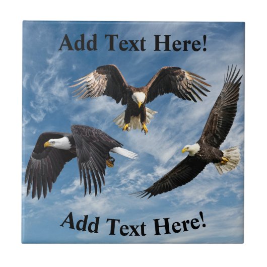 Carreau Aigle à tête blanche (Devant)