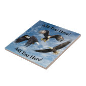 Carreau Aigle à tête blanche (Côté)