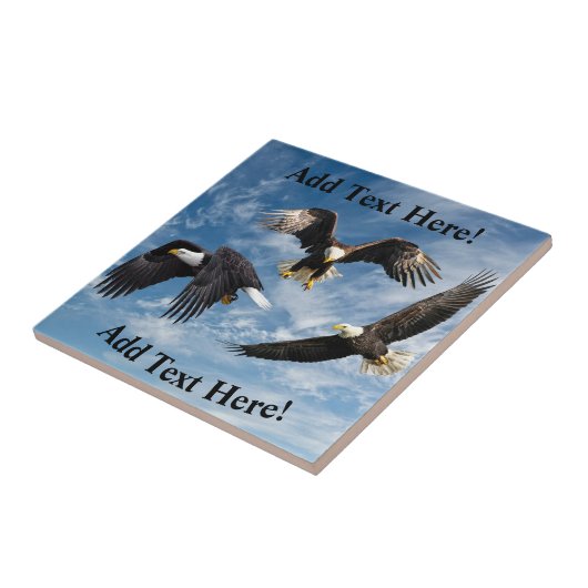 Carreau Aigle à tête blanche (Côté)