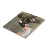 Carreau Aigle à tête plate (Côté)