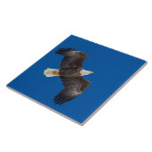 Carreau Aigle Balle Dans Le Ciel Bleu (Côté)