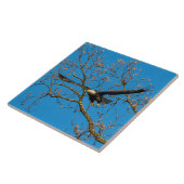 Carreau Aigle Balle Sur Bleu (Côté)