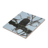 Carreau Aigle de Bald (Côté)