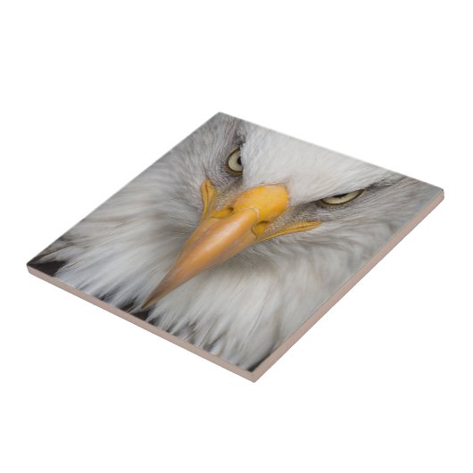 Carreau Aigle de Bald (Côté)