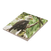 Carreau Aigle de Bald (Côté)