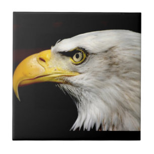 Carreau Aigle de Bald