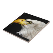 Carreau Aigle de Bald (Côté)