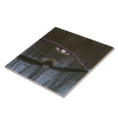 Carreau Aigle de Bald en vol (Côté)