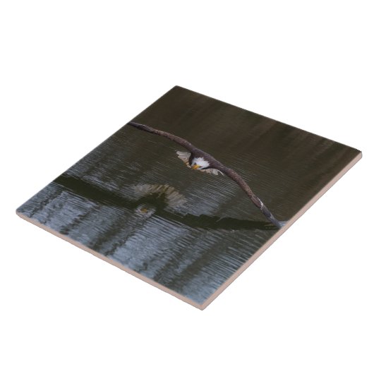 Carreau Aigle de Bald en vol (Côté)