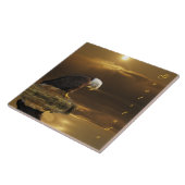 Carreau Aigle de chauve Gratitude Carrelage décoratif plus (Côté)