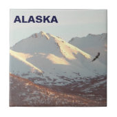 Carreau Aigle d'hiver (Devant)