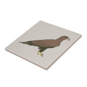 Carreau Aigle d'or (Côté)