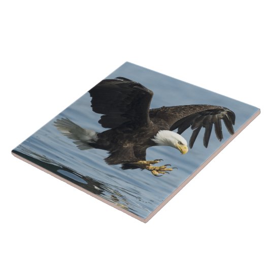 Carreau Aigle en approche (Côté)