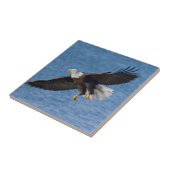 Carreau Aigle royal en vol (Côté)