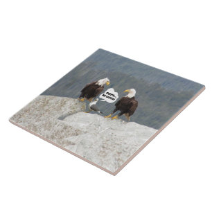 Carreau Aigles chauves drôles Seagull Faune Humour Cuisine