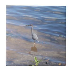 Carreau Aigrette bleue